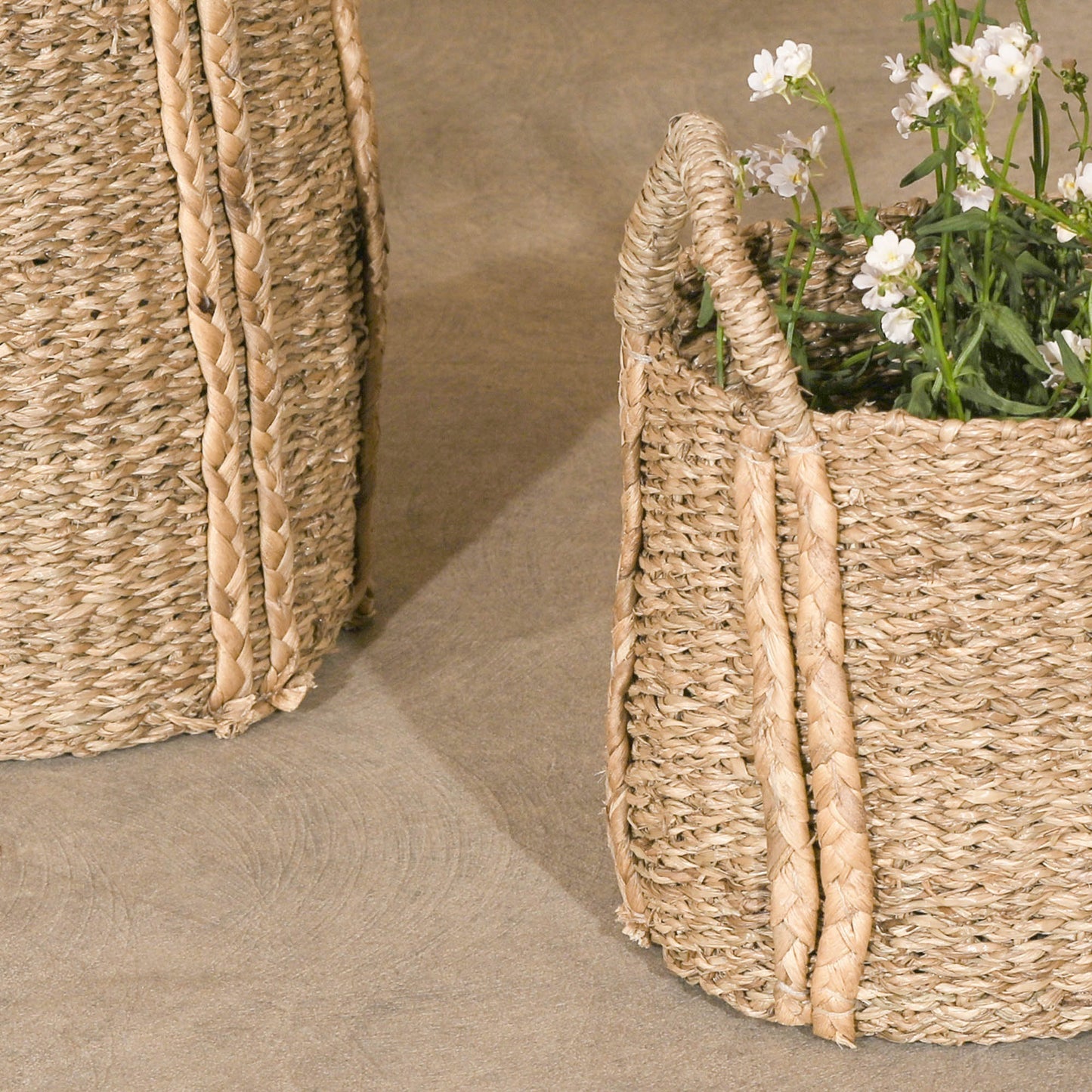 Set of 2 Seagrass Baskets With Plaited Handles