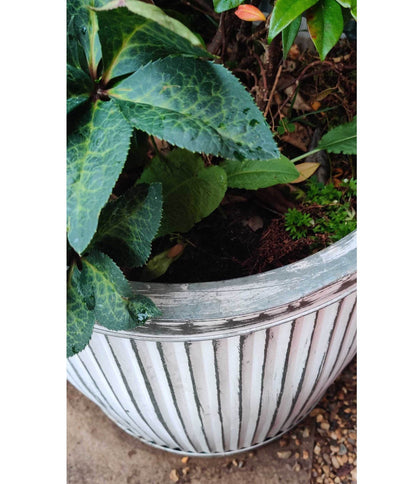 Vintage Rustic Style Galvanised Metal Tin Aged Round Dolly Tub Outdoor Planter - Esmae & Rose