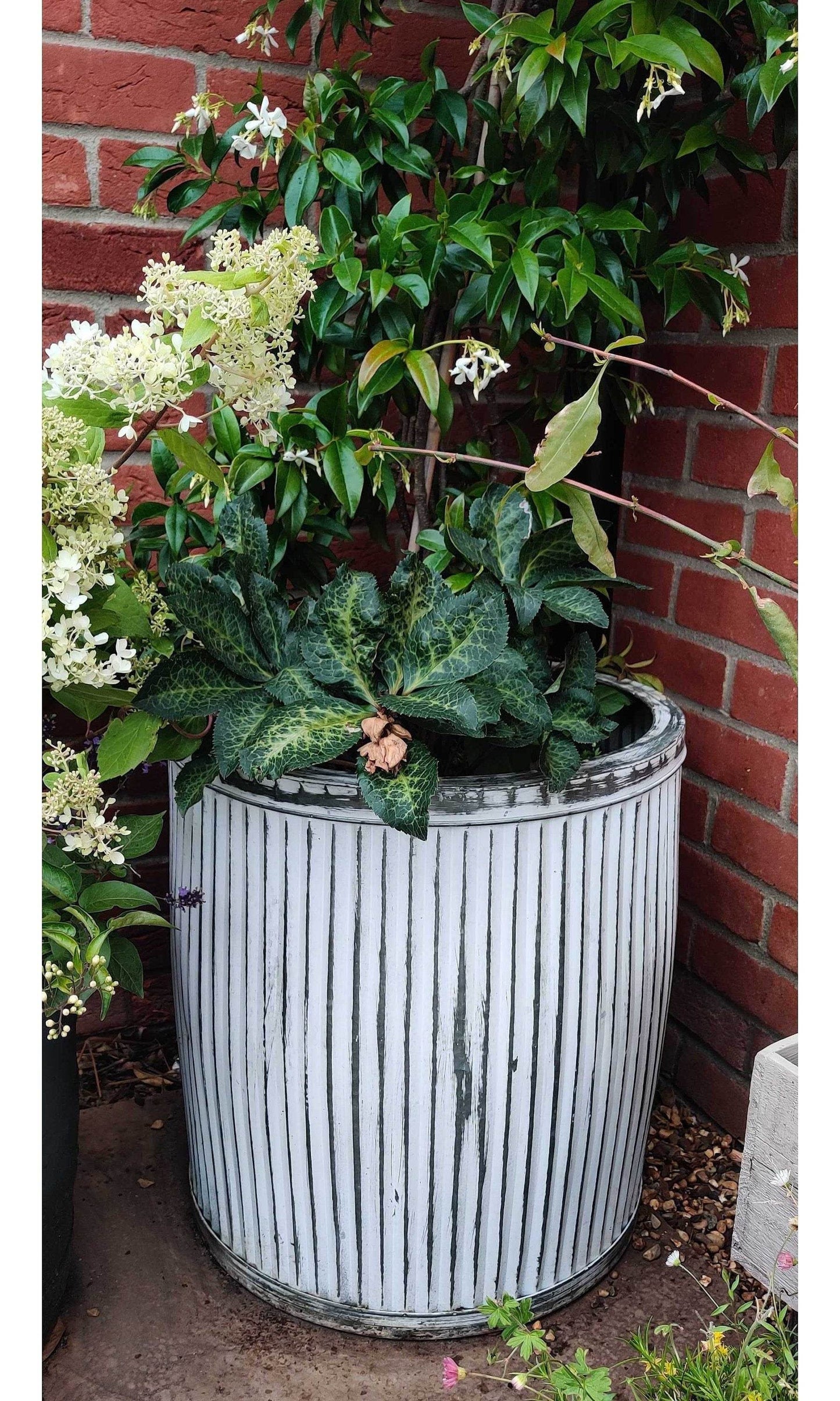 Vintage Rustic Style Galvanised Metal Tin Aged Round Dolly Tub Outdoor Planter - Esmae & Rose